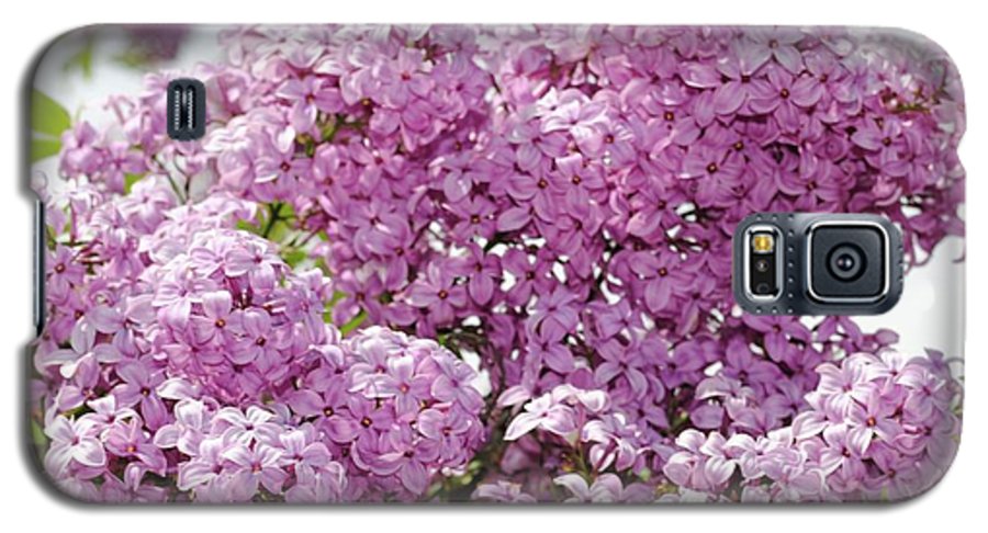 Lilacs With Sky - Phone Case