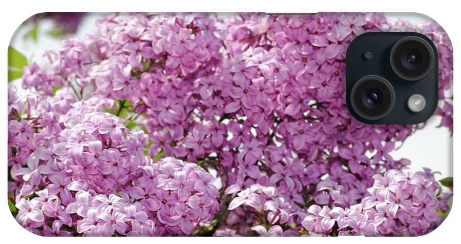 Lilacs With Sky - Phone Case