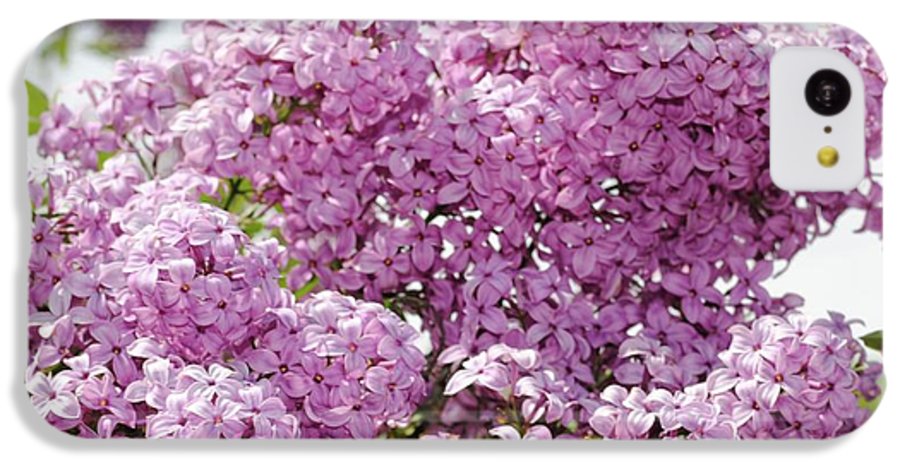 Lilacs With Sky - Phone Case