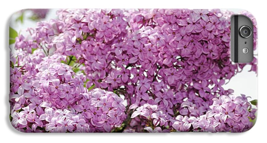 Lilacs With Sky - Phone Case