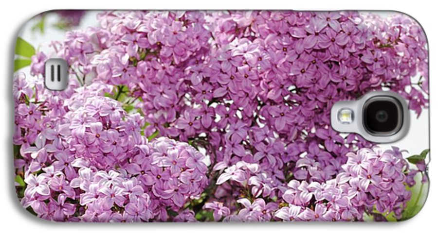 Lilacs With Sky - Phone Case