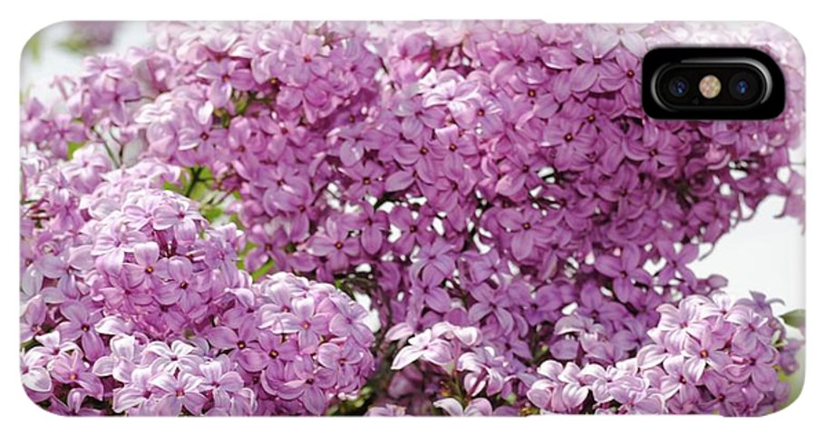 Lilacs With Sky - Phone Case