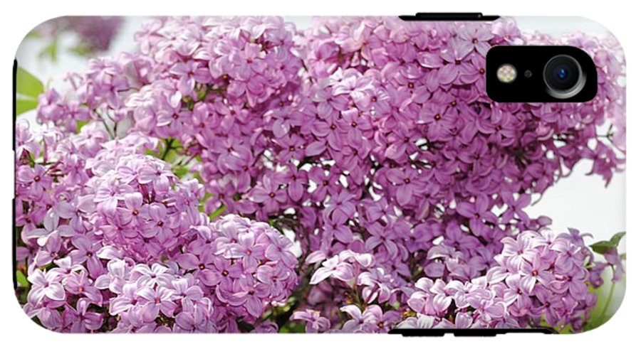 Lilacs With Sky - Phone Case