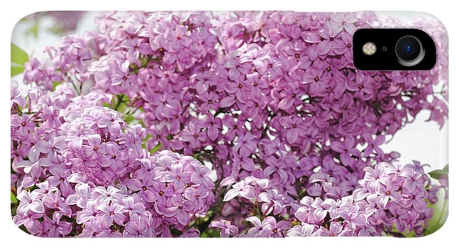 Lilacs With Sky - Phone Case