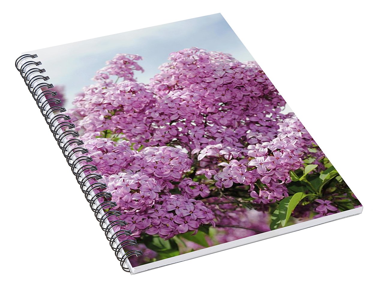 Lilacs With Sky - Spiral Notebook