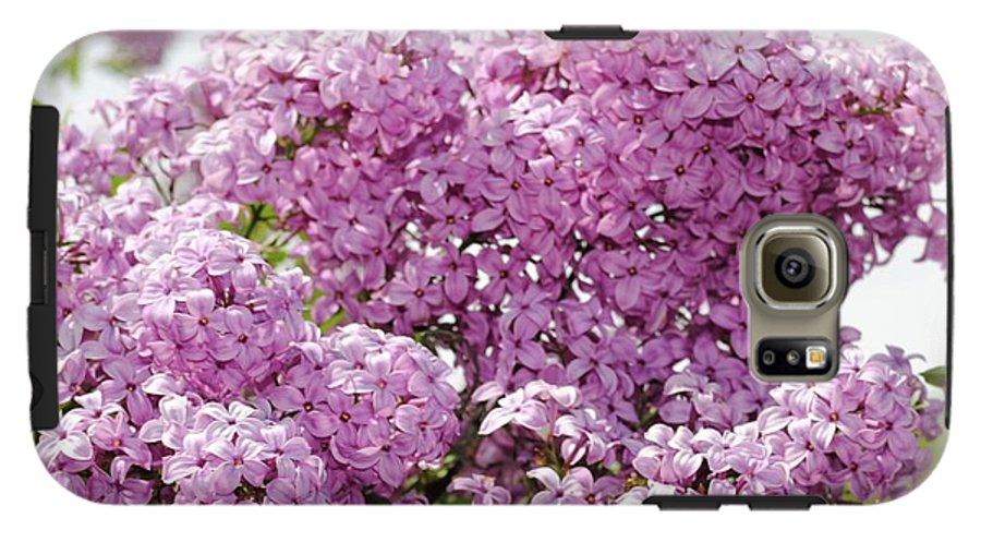 Lilacs With Sky - Phone Case