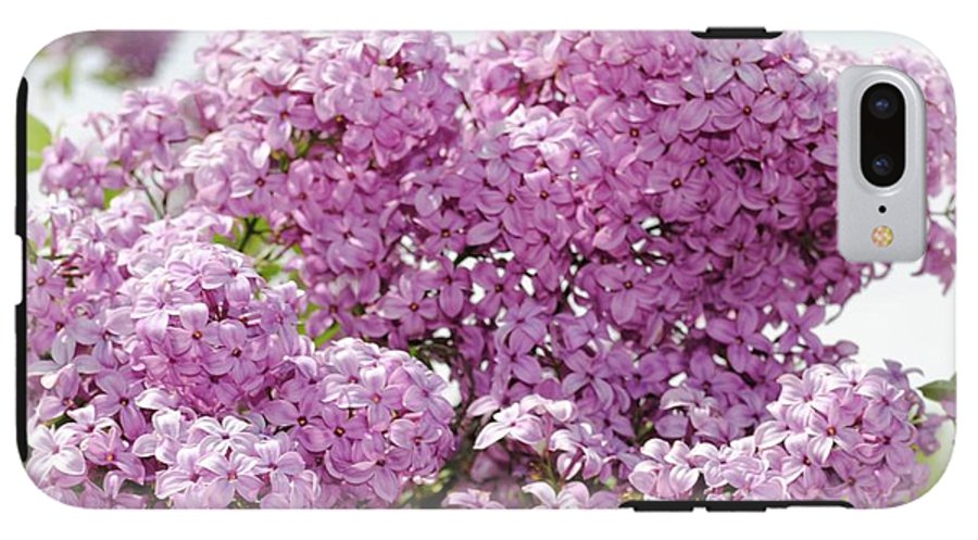 Lilacs With Sky - Phone Case