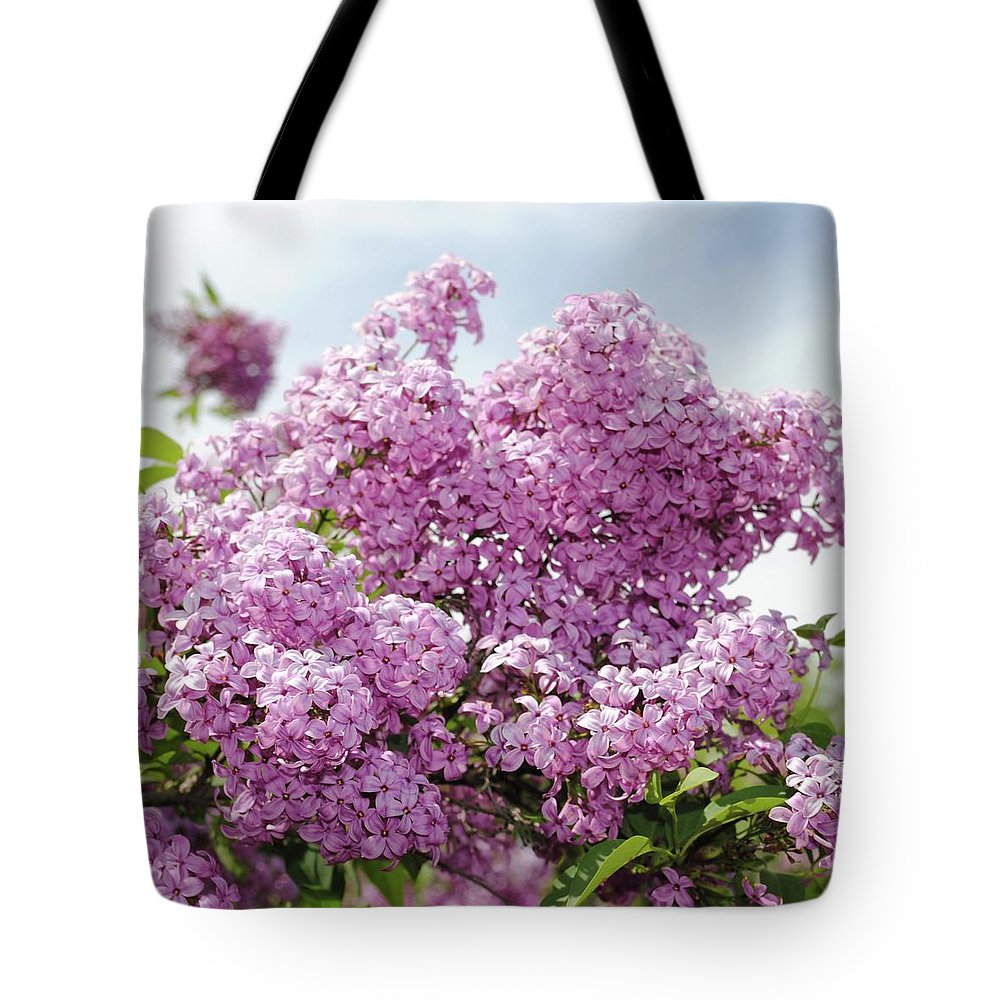 Lilacs With Sky - Tote Bag