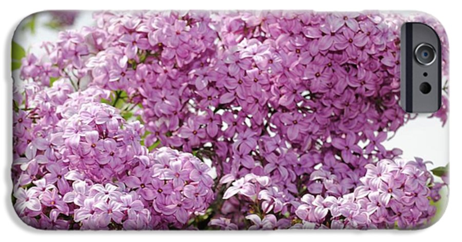 Lilacs With Sky - Phone Case