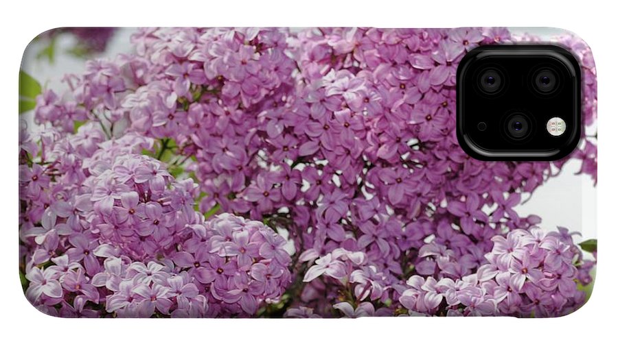 Lilacs With Sky - Phone Case