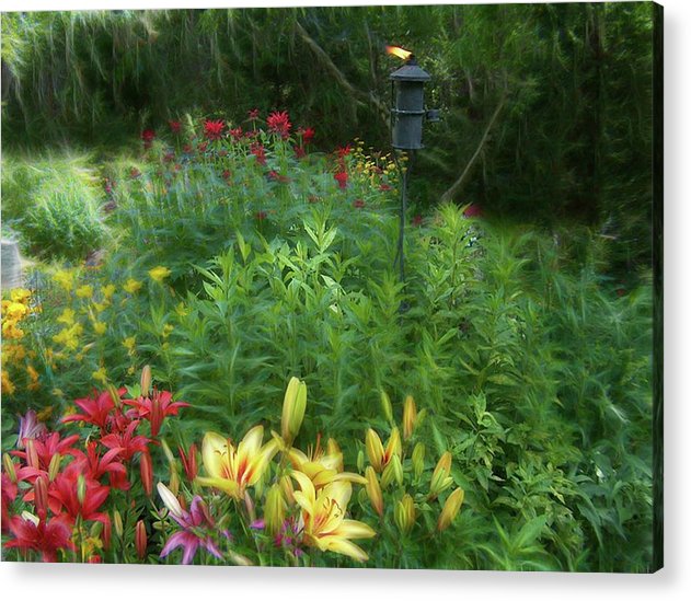 Lily Garden - Acrylic Print
