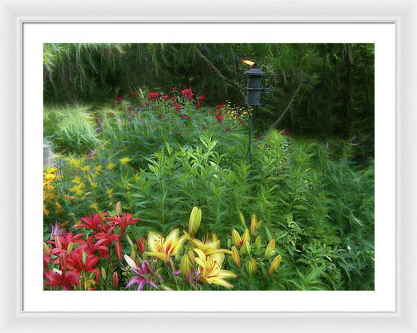 Lily Garden - Framed Print
