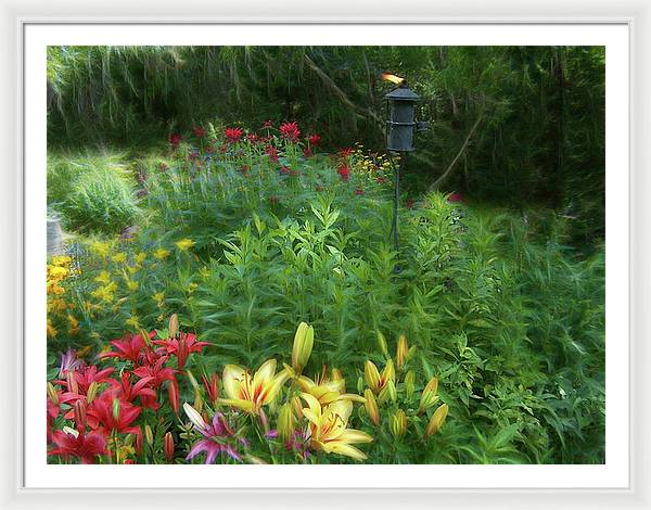 Lily Garden - Framed Print