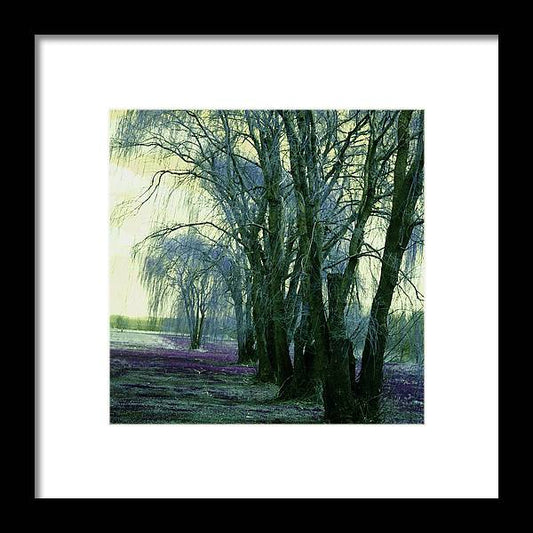 Line of Weeping Willow Trees - Framed Print