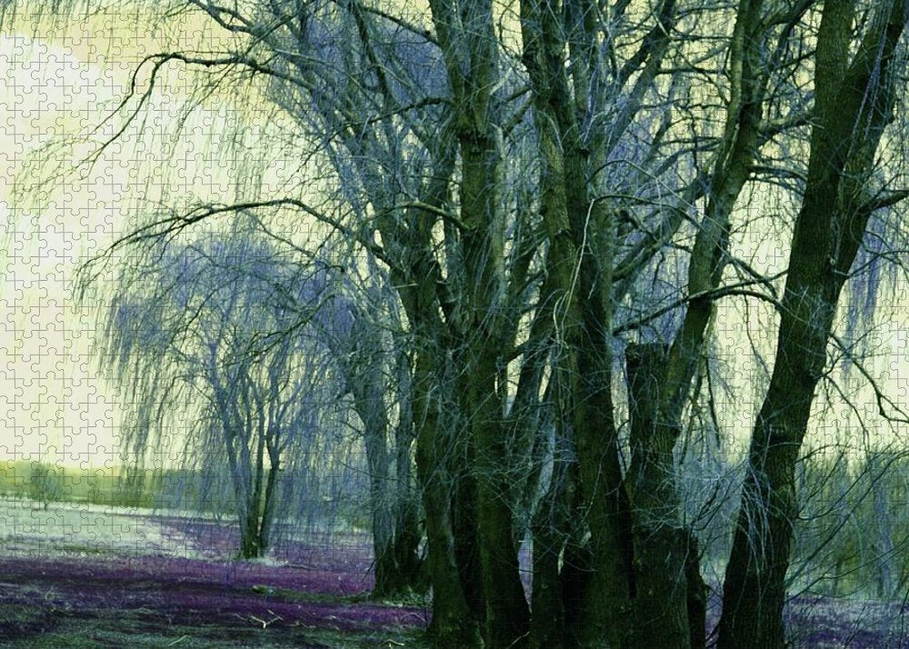 Line of Weeping Willow Trees - Puzzle