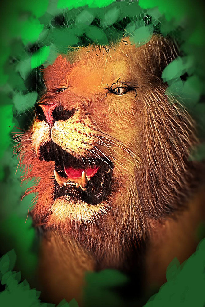 Lion In The Woods Digital Image Download