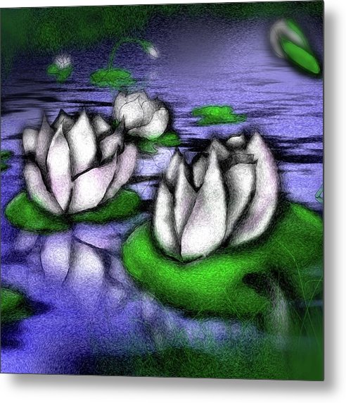 Little Lotus Pond - Metal Print