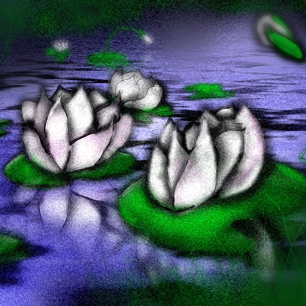Little Lotus Pond Digital Image Download