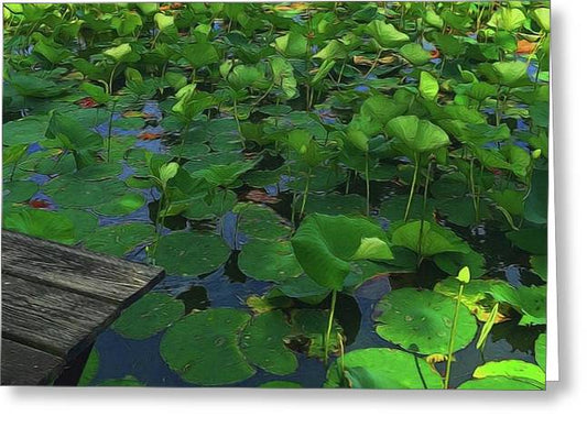 Lotus Pond With Pier - Greeting Card