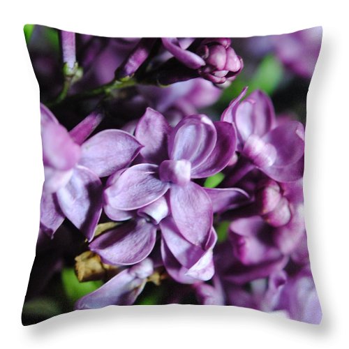 Macro Lilacs - Throw Pillow