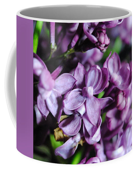 Macro Lilacs - Mug