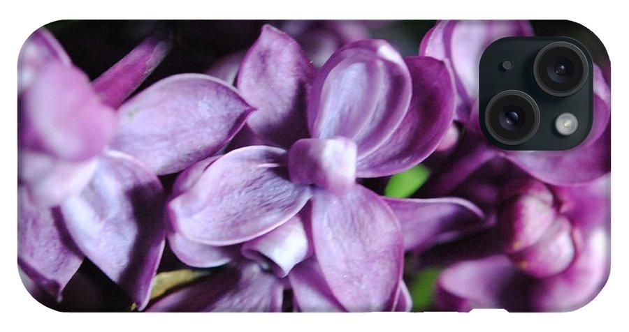 Macro Lilacs - Phone Case