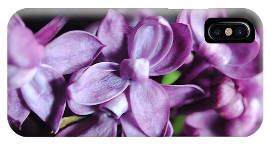 Macro Lilacs - Phone Case