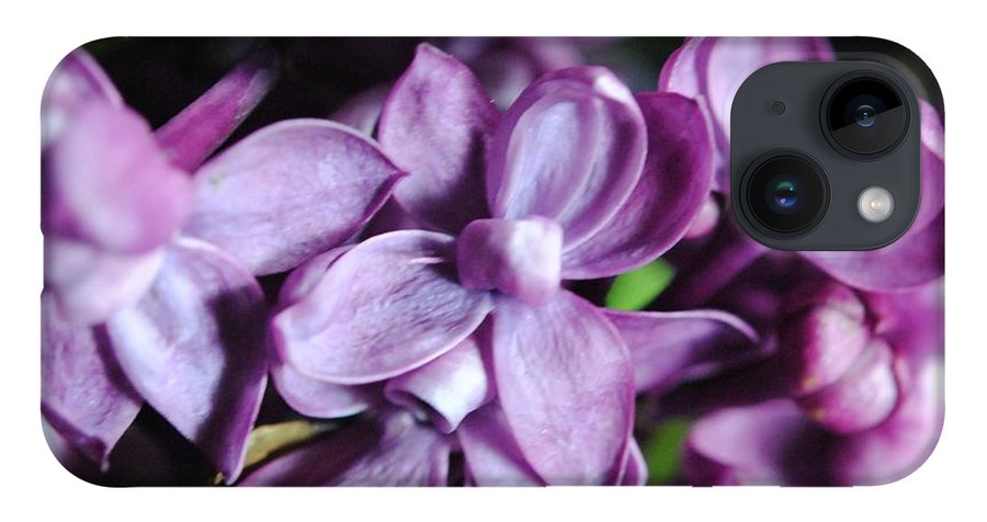 Macro Lilacs - Phone Case