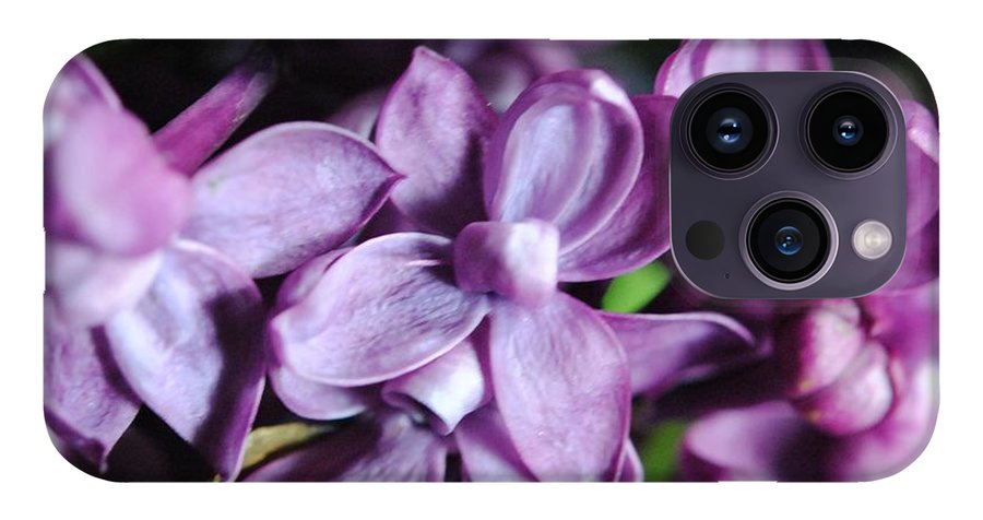 Macro Lilacs - Phone Case