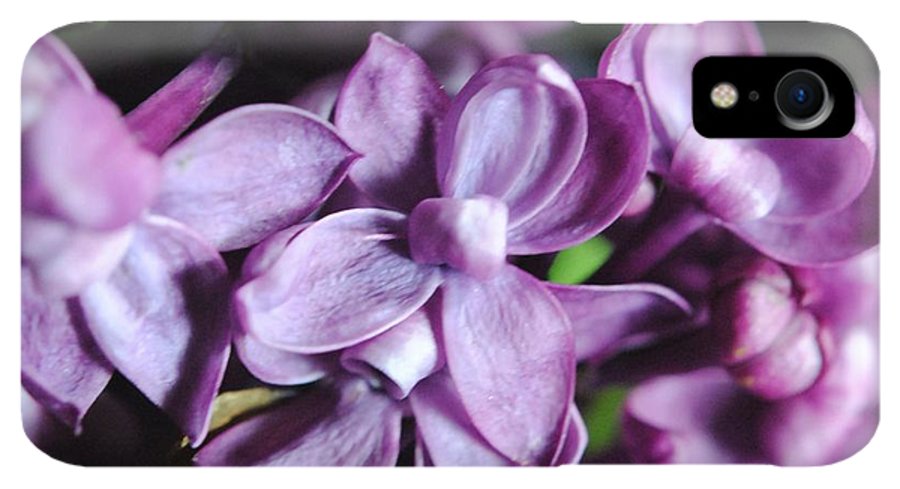 Macro Lilacs - Phone Case