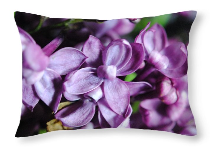Macro Lilacs - Throw Pillow