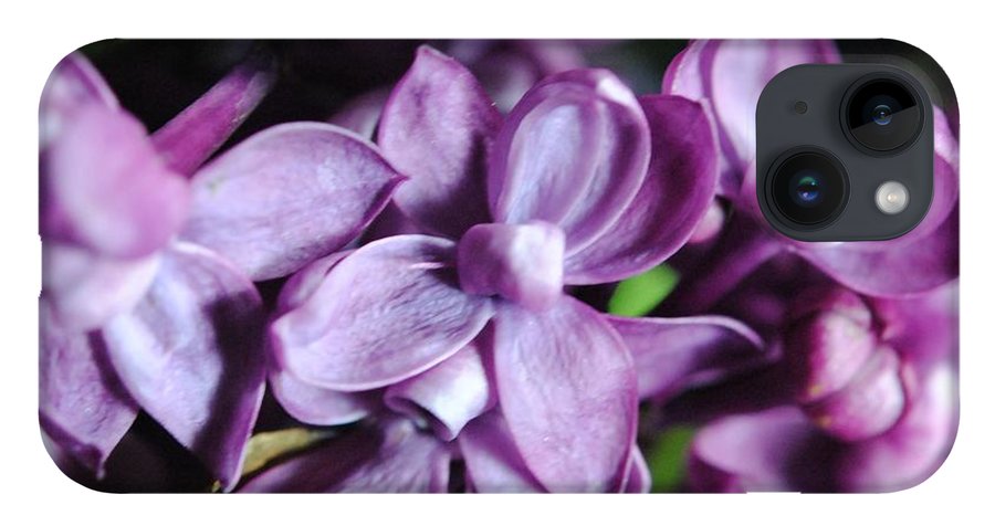 Macro Lilacs - Phone Case