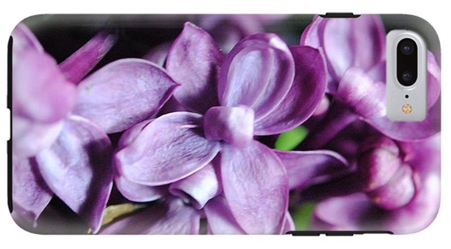 Macro Lilacs - Phone Case