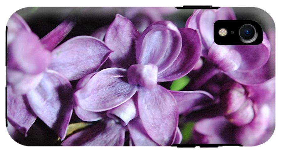 Macro Lilacs - Phone Case