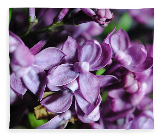 Macro Lilacs - Blanket