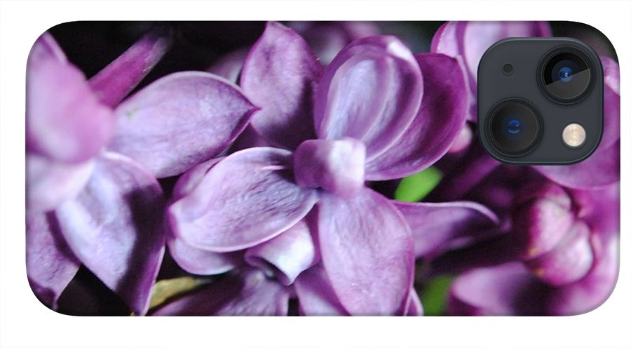 Macro Lilacs - Phone Case