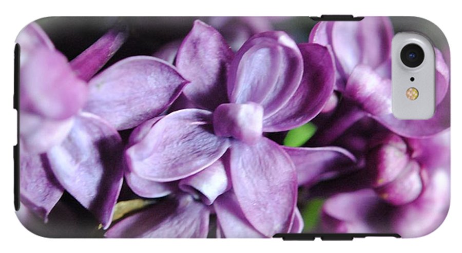 Macro Lilacs - Phone Case