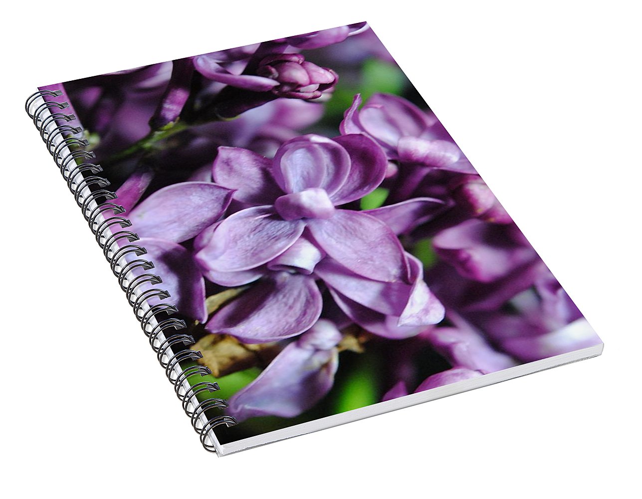 Macro Lilacs - Spiral Notebook