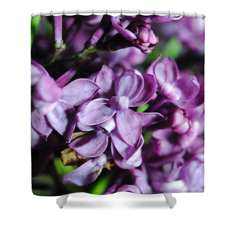 Macro Lilacs - Shower Curtain