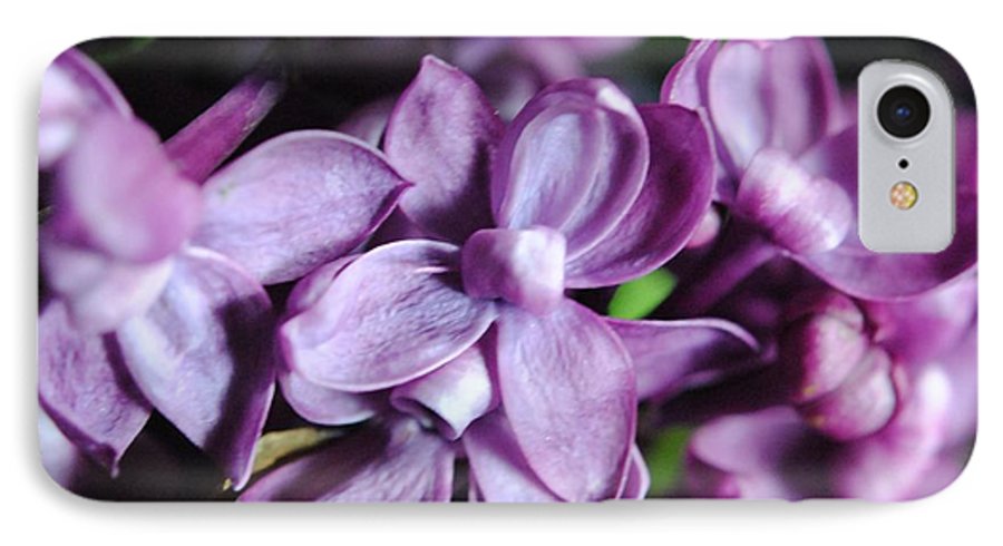 Macro Lilacs - Phone Case