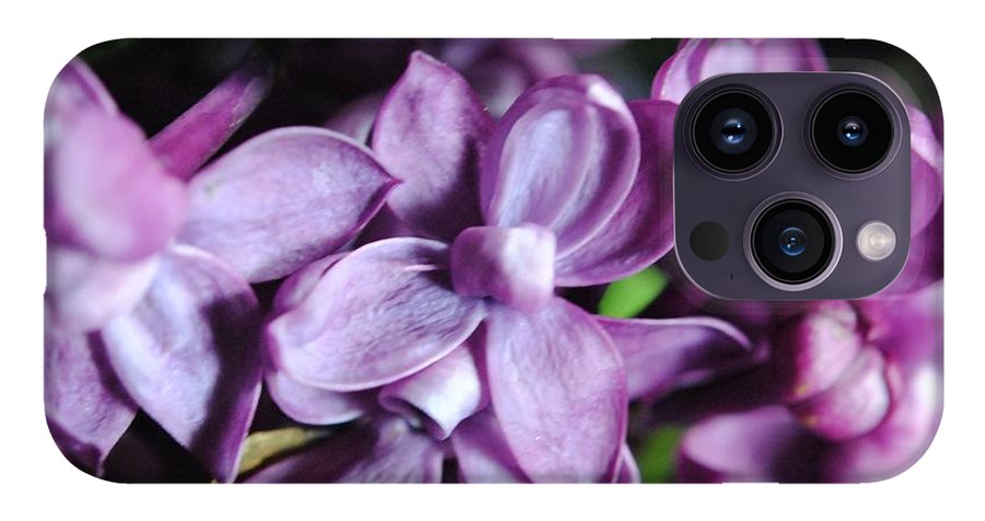 Macro Lilacs - Phone Case