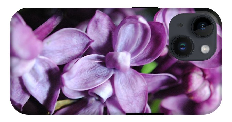 Macro Lilacs - Phone Case