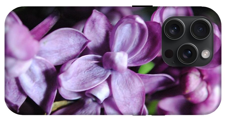 Macro Lilacs - Phone Case