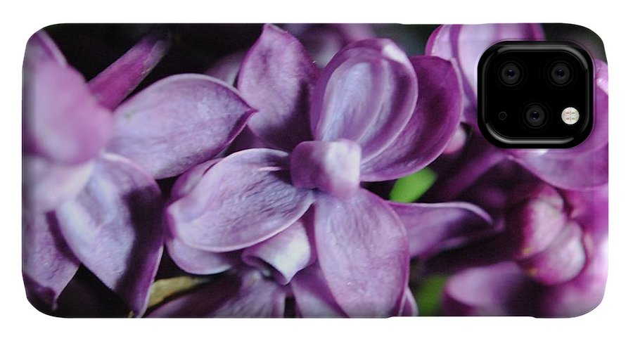 Macro Lilacs - Phone Case