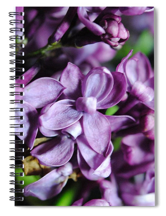 Macro Lilacs - Spiral Notebook