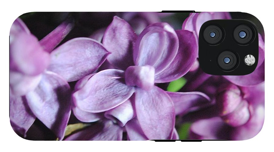 Macro Lilacs - Phone Case