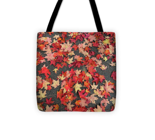 Maple Leaves In October 1 - Tote Bag