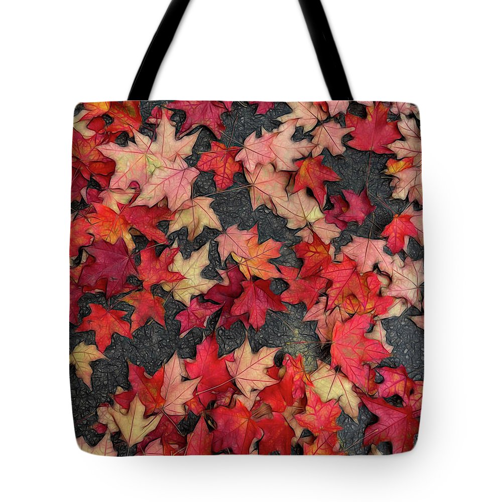 Maple Leaves In October 2 - Tote Bag