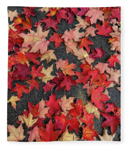 Maple Leaves In October 2 - Blanket