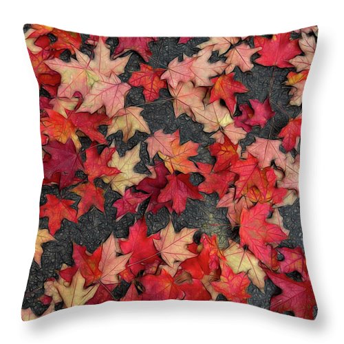 Maple Leaves In October 2 - Throw Pillow